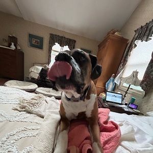 Meet your Posher, Natalie